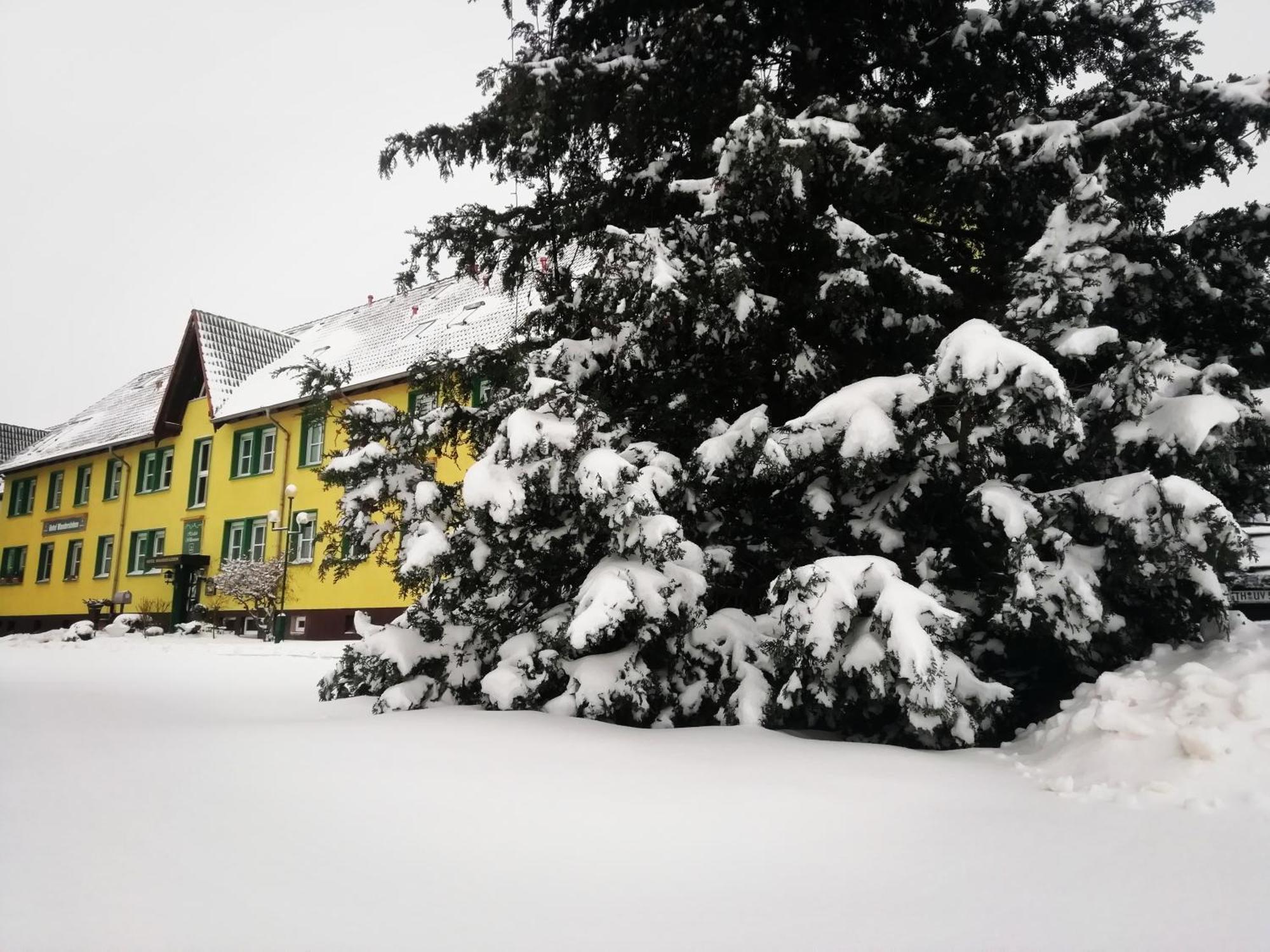 Hotel Wandersleben - Erfurt Bagian luar foto